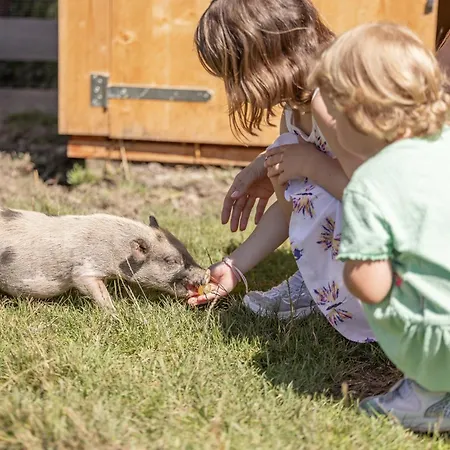 4*s Galtenberg 4* Alpbach